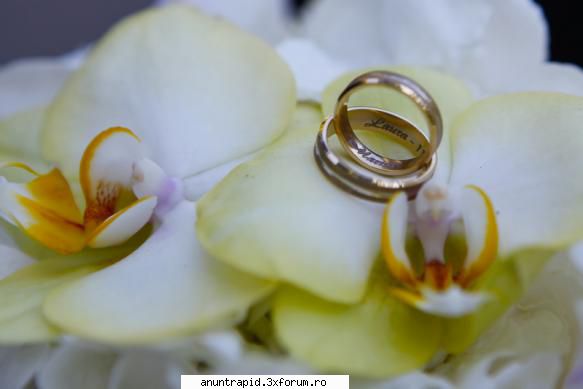 fotograf nunta si filmari profesionale - Fotografie de nunta detalii - Servicii